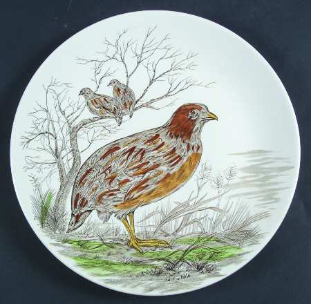 Wild Bird Dinner Plate