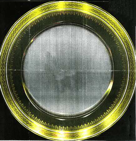 BER173 Dinner Plate