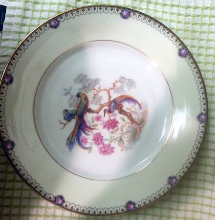 8586 Dinner Plate