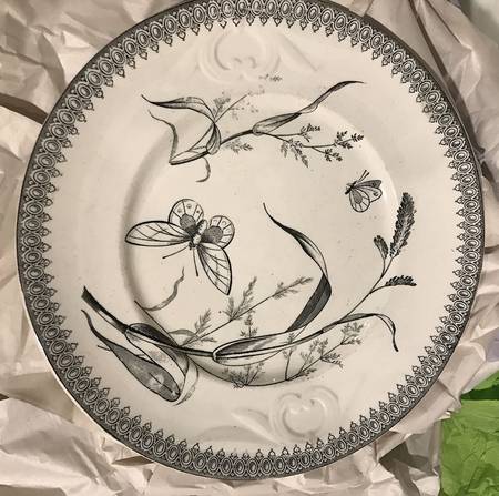 Summer Time Black Dinner Plate
