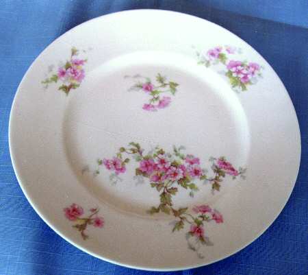 BER183 Dinner Plate