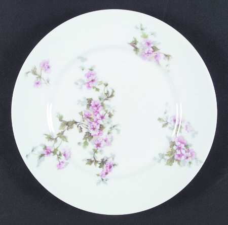BER183 Salad Plate
