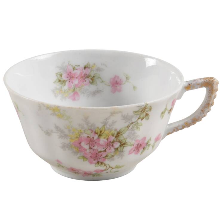 BWD223 Flat Cup