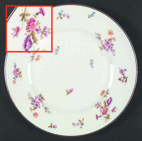 BER253 Dinner Plate