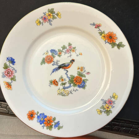 BCO20 Dinner Plate