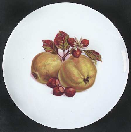 BTH125 Salad Plate