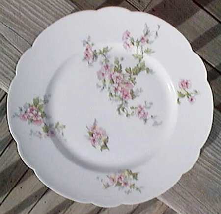 BER346 Dinner Plate