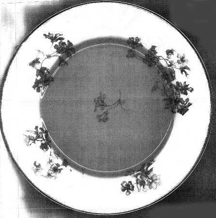 Fleur De Lys Salad Plate