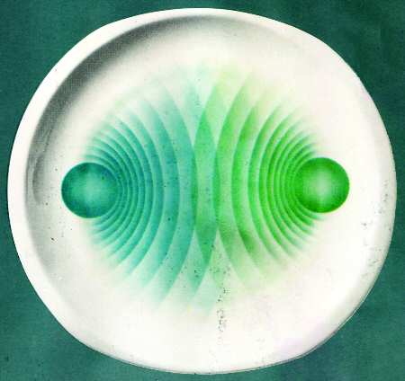 Oberon Dinner Plate