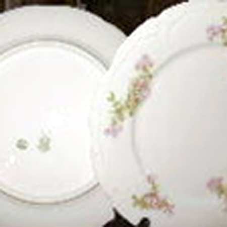 BOG75 Dinner Plate