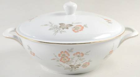 BAV62 Round Covered Vegetable