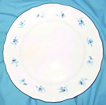 BER457 Dinner Plate