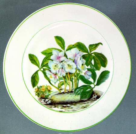 Estelle Dinner Plate