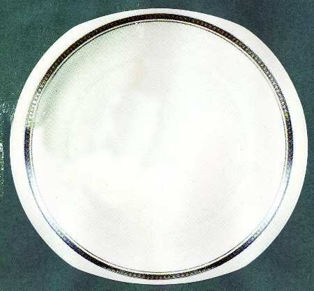Parly Dinner Plate