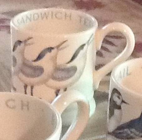 Birds Mug