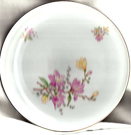 P1192 Salad Plate