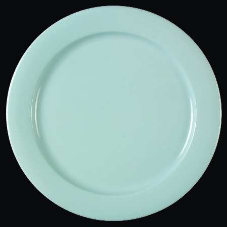 BPL5 Service Plate (Charger)