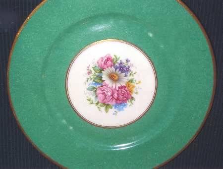 BER315 Dinner Plate