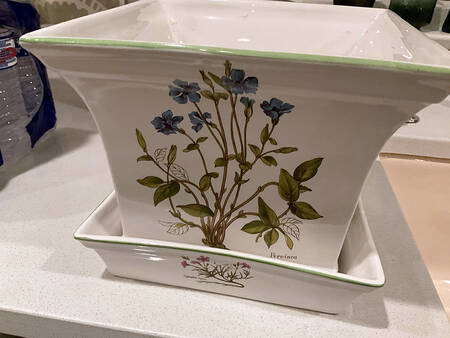 BNA10 6" Flower Pot & Underplate