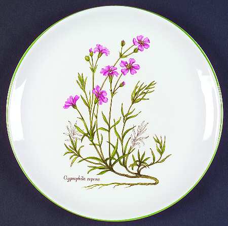 BNA10 Salad Plate