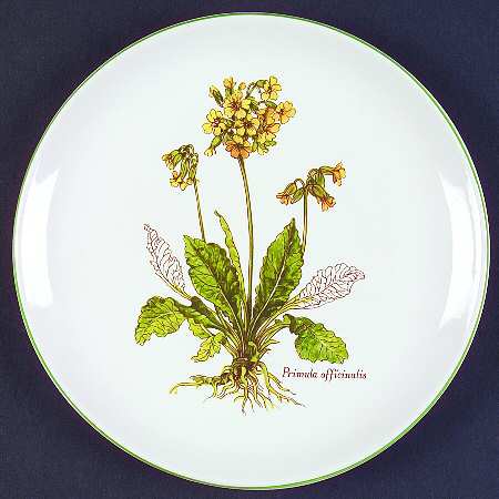 BNA10 Salad Plate