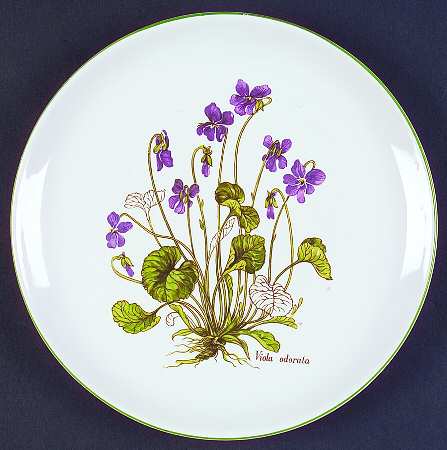 BNA10 Salad Plate