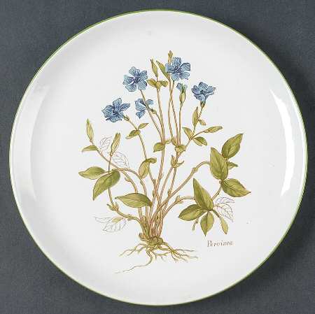 BNA10 Dinner Plate