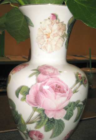 Romantic Rose 8" Vase