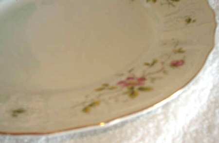 THU437 Dinner Plate