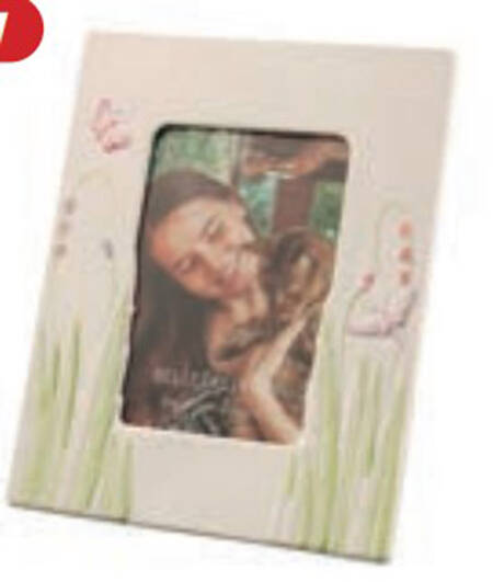 Living Frame-Holds 5" X 7"