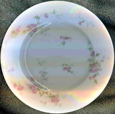 BER543 Dinner Plate