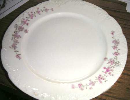 B2H1 Dinner Plate