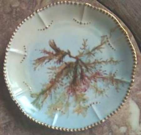BWD706 Bread & Butter Plate