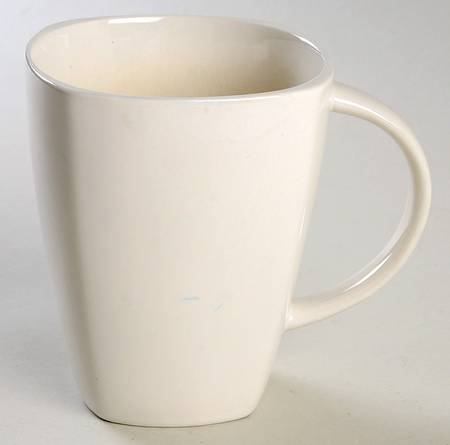 Kashmir Mug