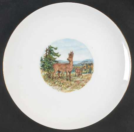 SCH657 Dinner Plate