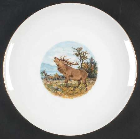 SCH657 Dinner Plate