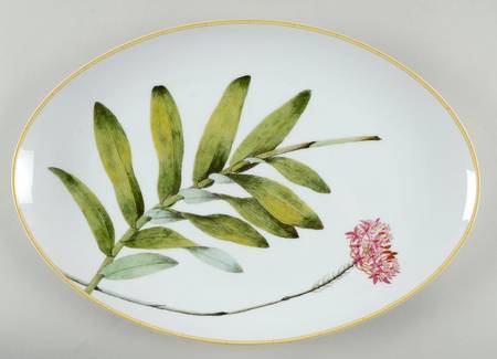 Jardin Indien 15" Oval Serving Platter