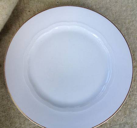SXO17 Dinner Plate