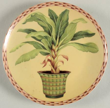 Palm Trees Collection by Baum Brothers