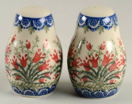 Red Tulip Salt & Pepper Set