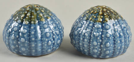Blue Urchin Salt & Pepper Set