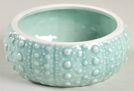 Turquoise Urchin 5" Round Box No Lid