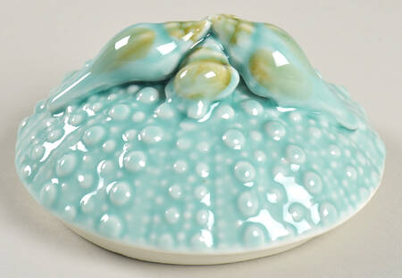 Turquoise Urchin Lid for 5" Round Box