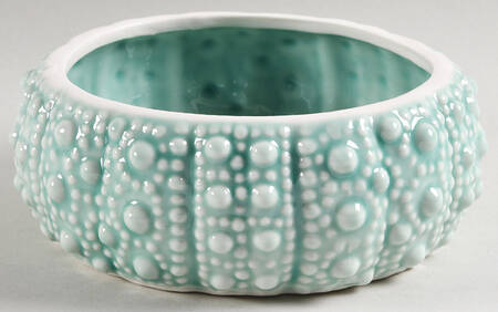 Turquoise Urchin 7" Round Box No Lid