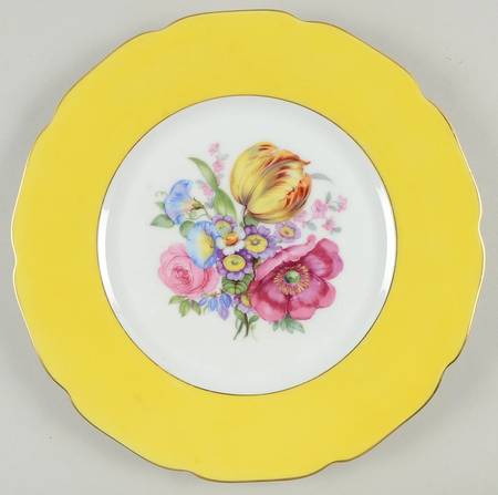 6616065 Dinner Plate