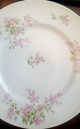 BER713 Dinner Plate