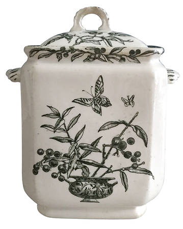 Privet by Baker &amp; Co