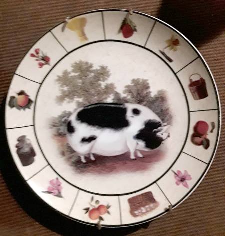 Barnyard Collection by Baum Brothers