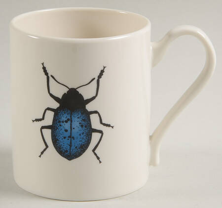 Curio Mug