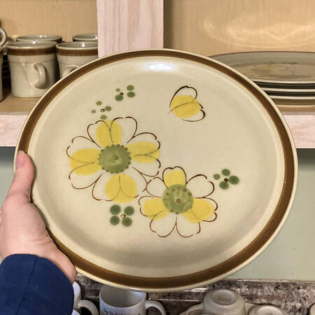 Painted Daisy by Bristol (Japan)